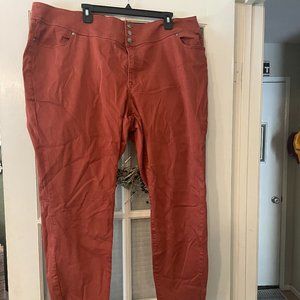 Stretchy Lane Bryant Skinny Jeans